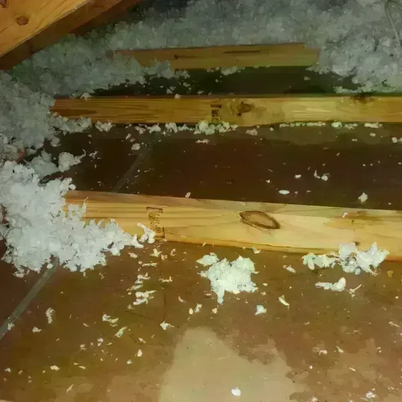 Attic Water Damage in Milesburg, PA